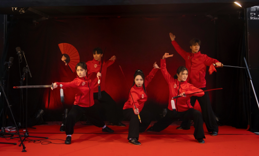 武术表演。中国驻芬兰大使馆供图 武术表演。中国驻芬兰大使馆供图