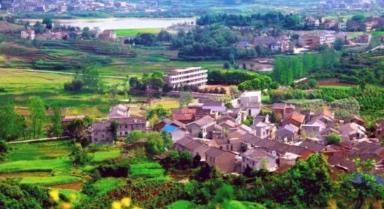 现代化“归园田居”照进家乡