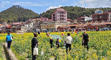 福建泉州虹山乡展现农文旅融合魅力