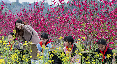 广西苍梧：花间写生绘春光
