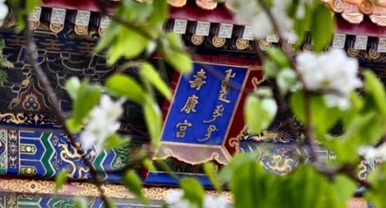 故宫花似锦