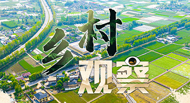 乡村观察
