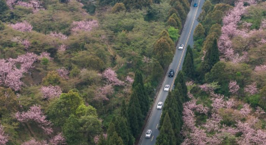 贵州清镇：春和景明 一路生花