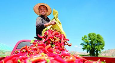 从“土里土气”到“名扬万里”