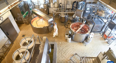 探访瑞士奶酪工厂
