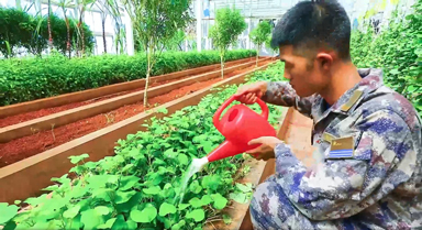 南沙故事我来讲｜“四防”菜地的由来