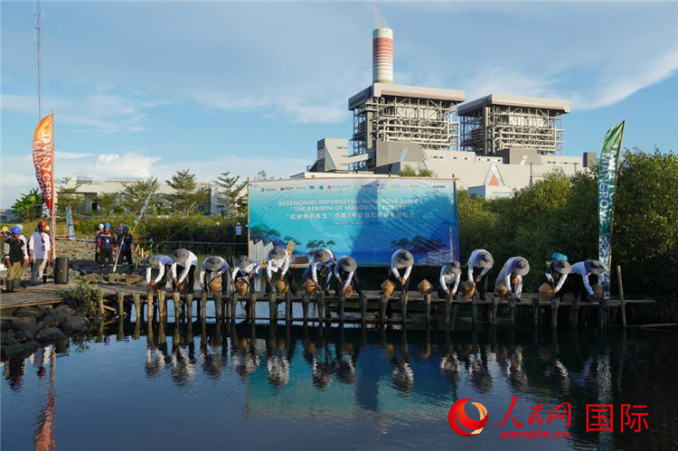 5月18日，在中国国家能源集团与印尼国家电力公司共同建设的爪哇7号火电项目现场，嘉宾们进行红树苗补植活动。人民网记者 曹师韵摄