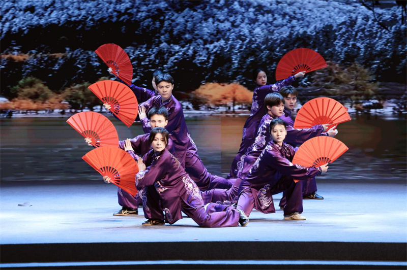 武术表演(主办方供图) 武术表演(主办方供图)