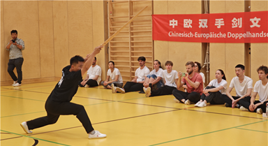 中奥武术文化交流活动在维也纳举办