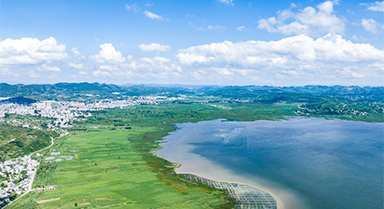 草海夏日风光美