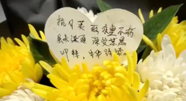 被东北烈士纪念馆的留言戳到了