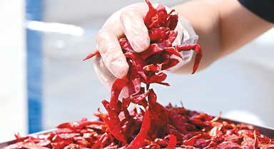 一位非洲大使眼中的“进博机遇”