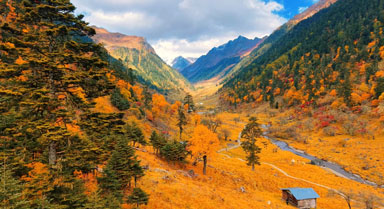 云南怒江塞瓦龙巴牧场山林尽披绚彩