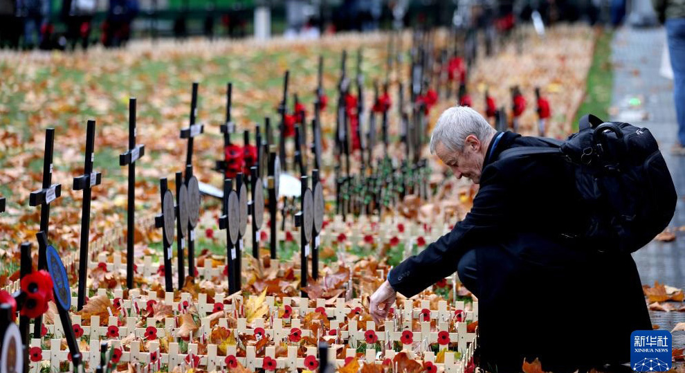 英国：纪念停战