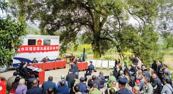 古树保护区巡回审理失火案