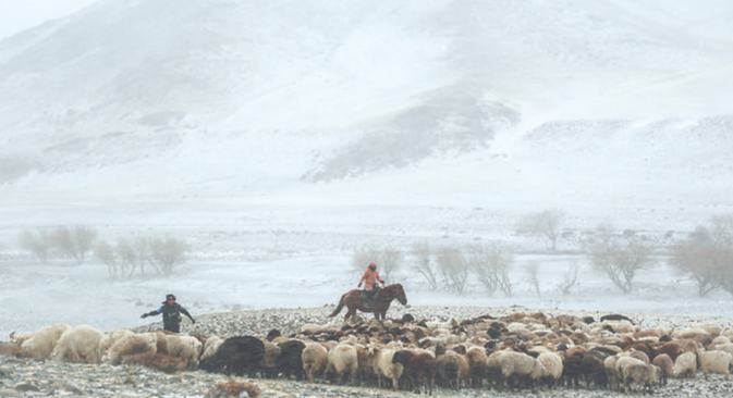 风雪转场路 护牧情更浓