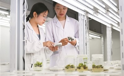 新農科建設,項目實踐走向鄉村大地