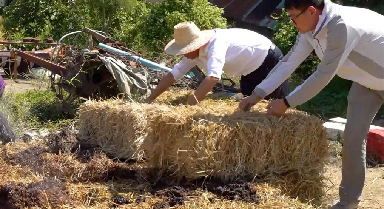 中国技术助力泰国农业发展