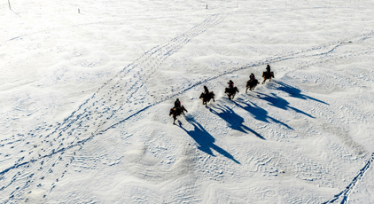 雪原上的骑警队