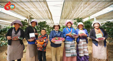 从机关干部,到高原车厘子的"知心人"