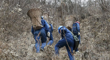 秦岭山区的“背篓电工”
