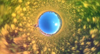 换个视角看油菜花盛开，能有多壮观