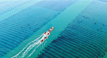 餐桌上那份新鲜从何而来？