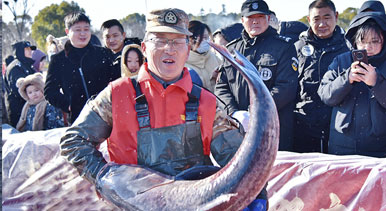 江苏如皋：龙游湖冬捕迎新春