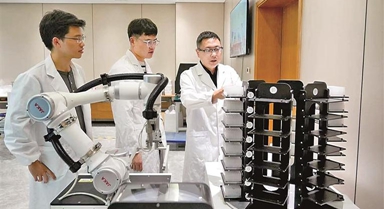 这个春节，我陪种子在海南