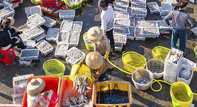 海南琼海：渔港交易忙