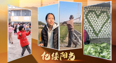 亿缕阳光·乡见｜泥土也有芬芳