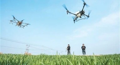 无人机施肥更高效