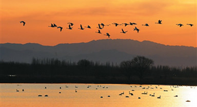 走进大自然 感受绿美生活
