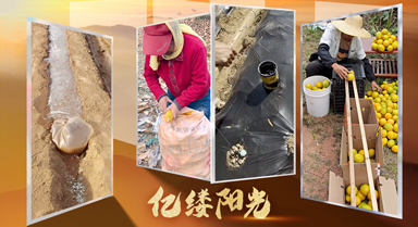 亿缕阳光·乡见｜田间有高手