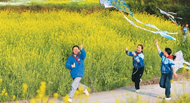 趁东风 放纸鸢