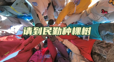 来民勤 种棵树