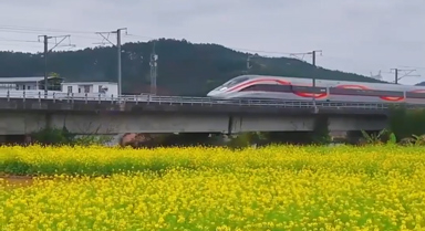 春日限定铁路风景，坐着火车去赏花