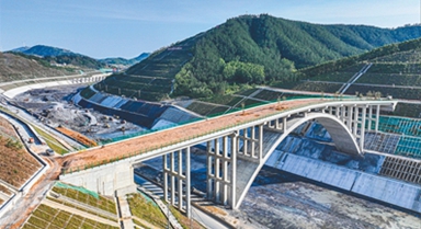 平陆运河上，有座野‍生动物专属通道桥