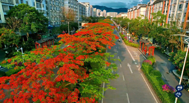 云南这条路藏了份夏日告白