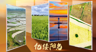 亿缕阳光·乡见｜藏在农田里的浪漫
