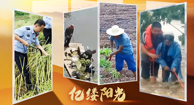 亿缕阳光·乡见｜有我们