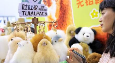文博会首次设立APEC经济体展区