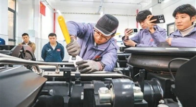 世赛新增项目，为啥是这7个？