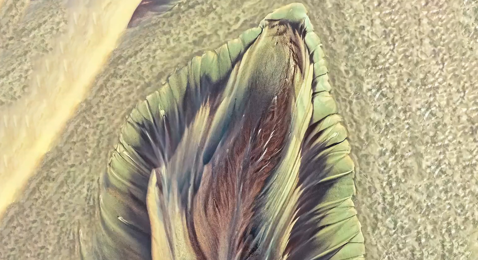 钱塘江江滩现“大地流沙画”