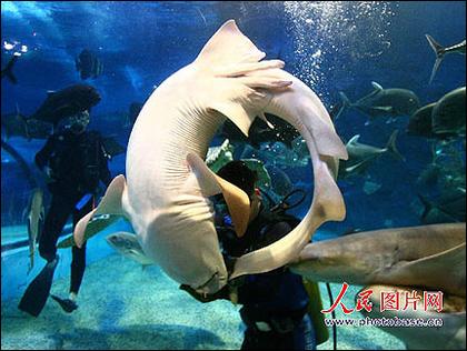 玉照被贴上激情视频聊天网美女索赔10万元