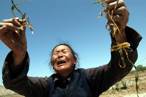 惨象!甘肃会宁持续干旱 缺水严重(组图)