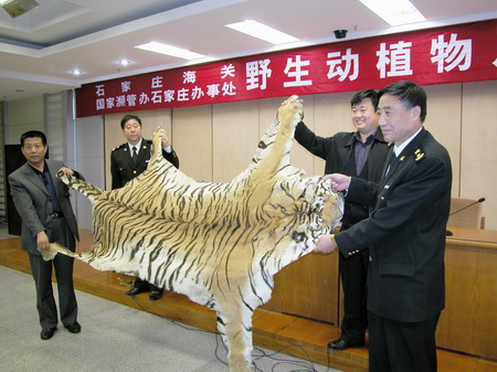 组图:石家庄海关向濒危物种管理部门移交东北