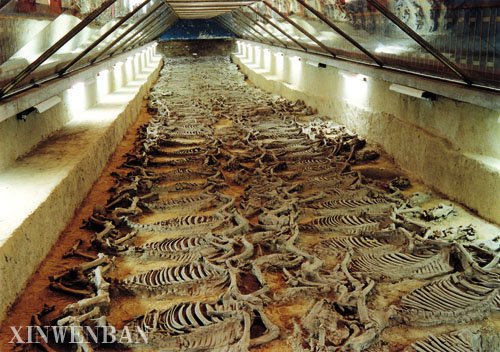 美丽的淄博--齐国故都