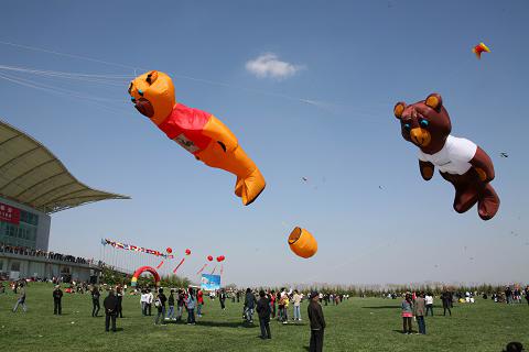潍坊风筝会万千鸢鹞舞翩翩 (7)