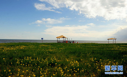 呼伦贝尔草原自驾游完全攻略--人民网旅游频道